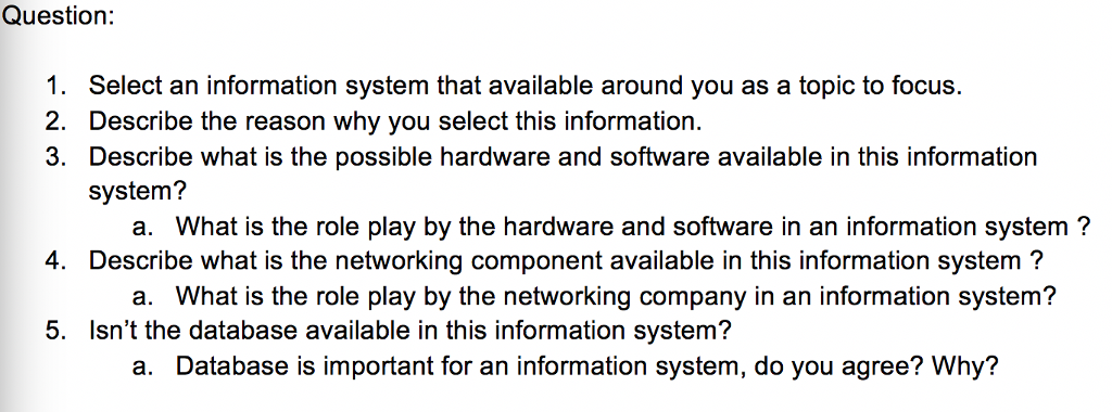 information system essay question