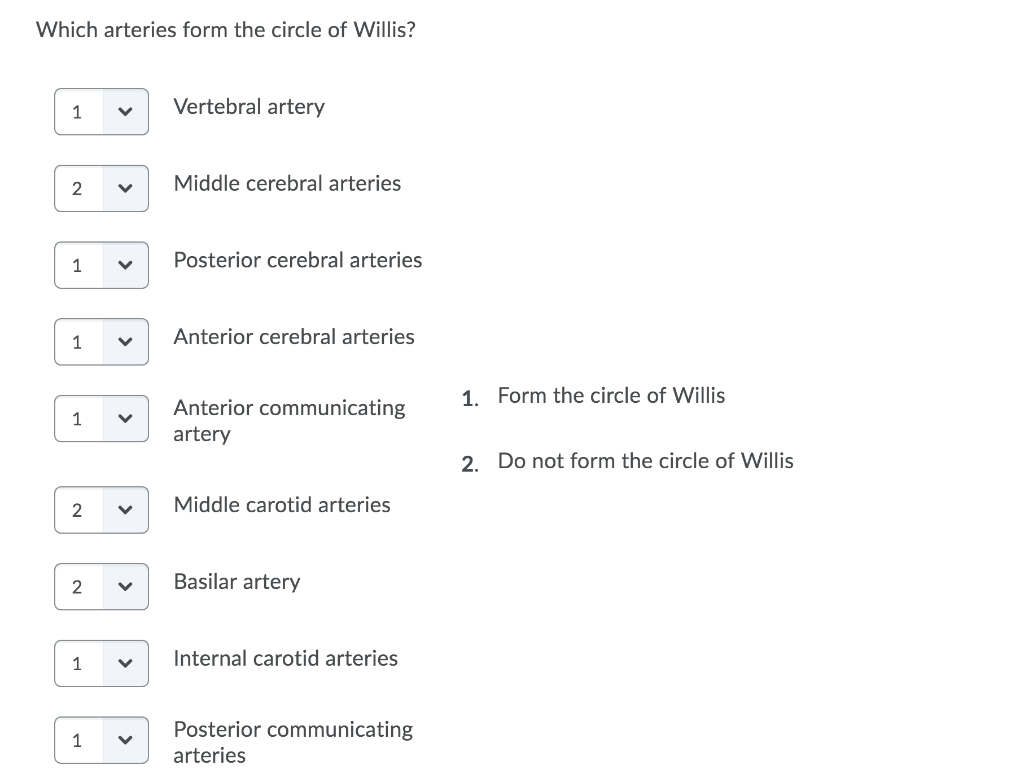 Solved Which Arteries Form The Circle Of Willis Vertebral Chegg Solved Which Arteries Form The Circle Of Willis Vertebral Chegg
