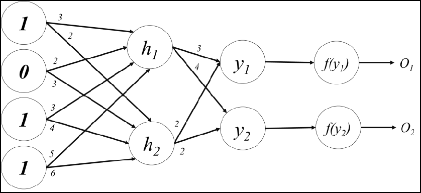 Solved Calculate The Output Of The Neural Network 5759