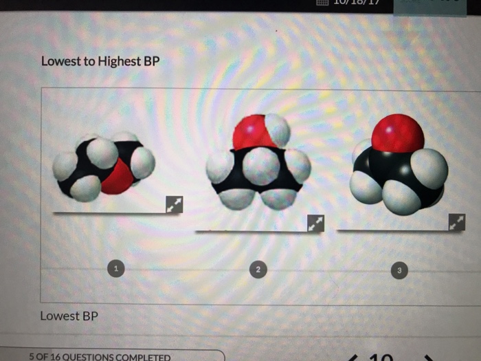 Lowest to Highest BP Lowest BP 5 OF 16 QUESTIONS | Chegg.com