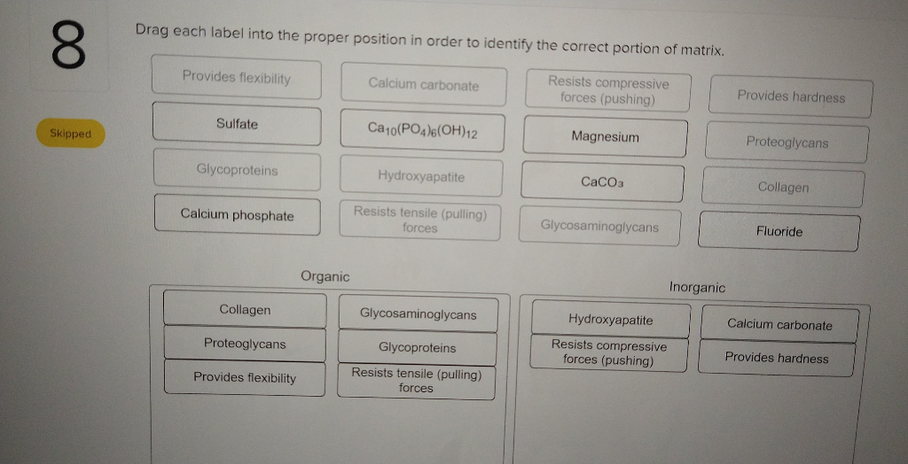 Solved Drag each label into the proper position in order to
