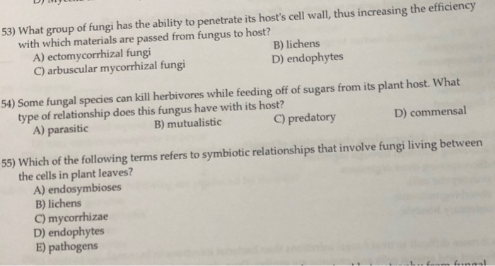 Solved 53) What group of fungi has the ability to penetrate | Chegg.com