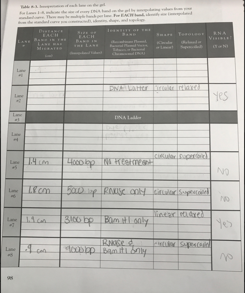 Solved Table 8-3. Interpretation of each lane on the gel. | Chegg.com