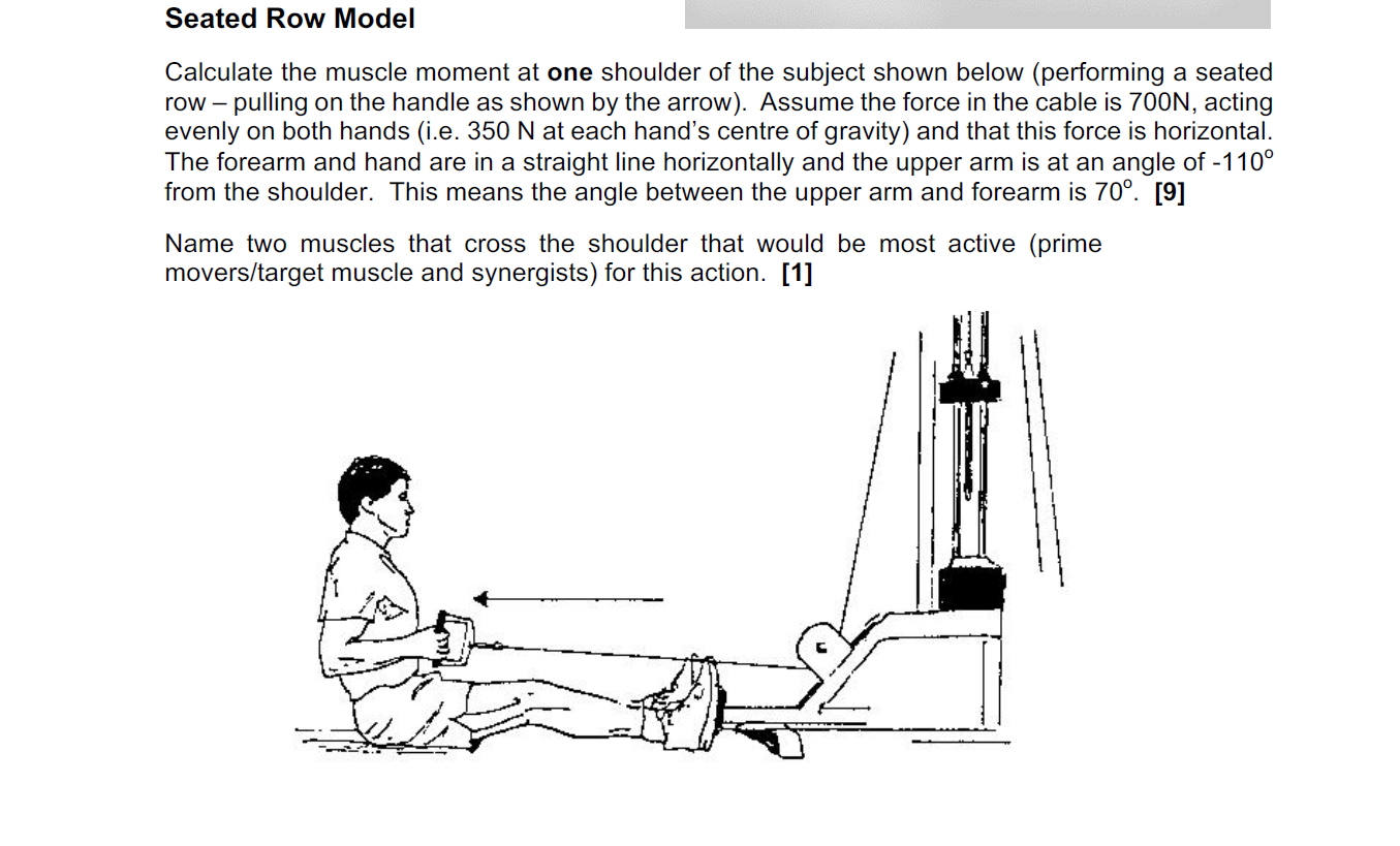 Solved Seated Row Model Calculate the muscle moment at one