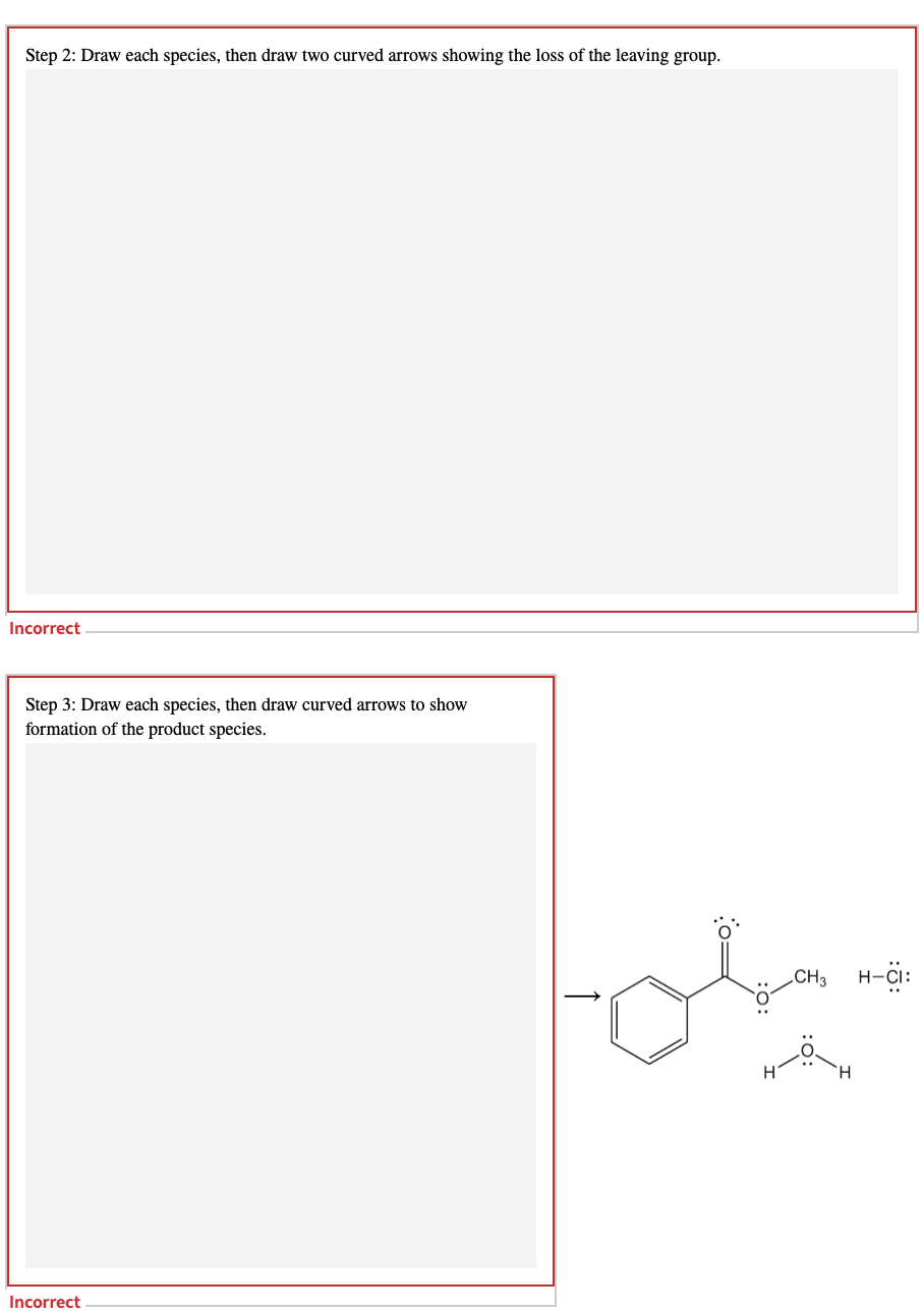 Solved Examination of the Fischer esterification mechanism | Chegg.com