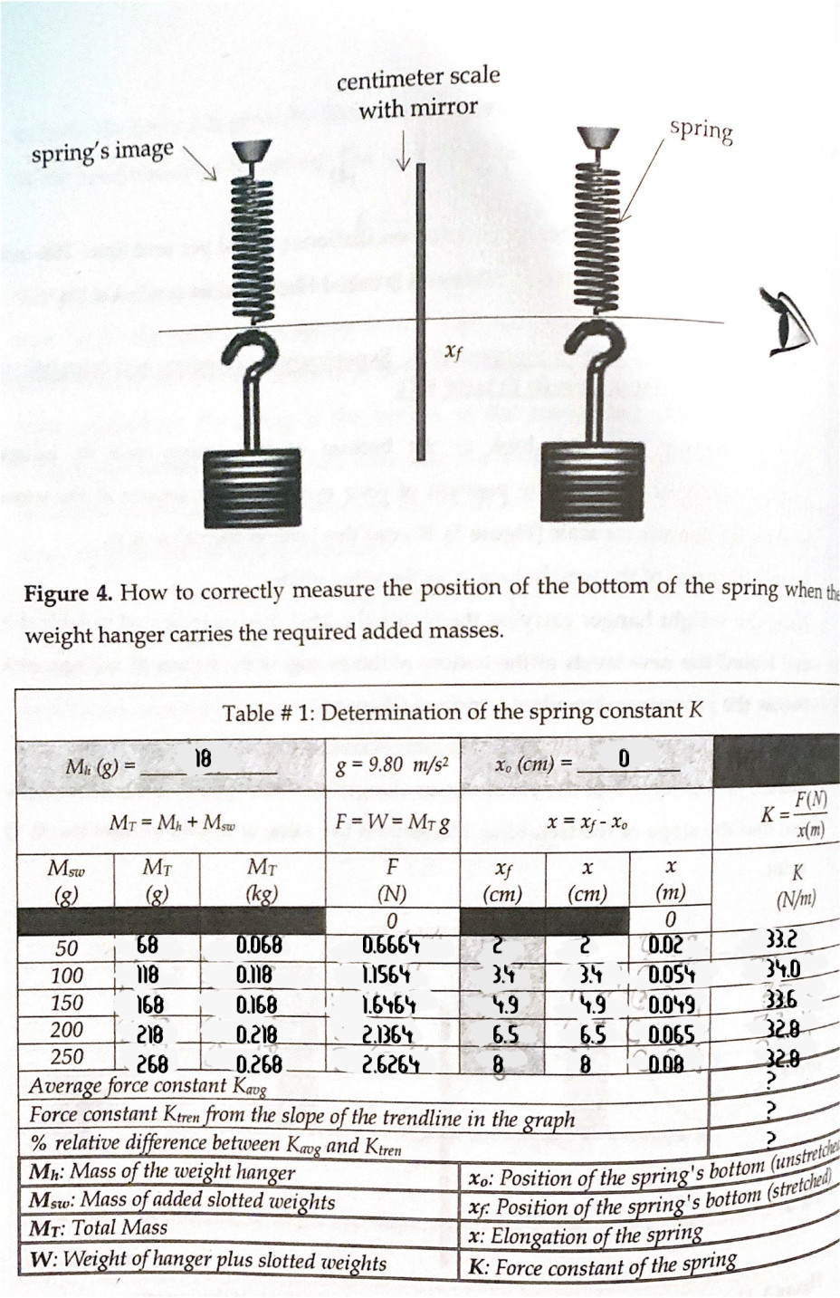 Solved Help Me With Simple Harmonic Motion:Vibrating Spring | Chegg.com