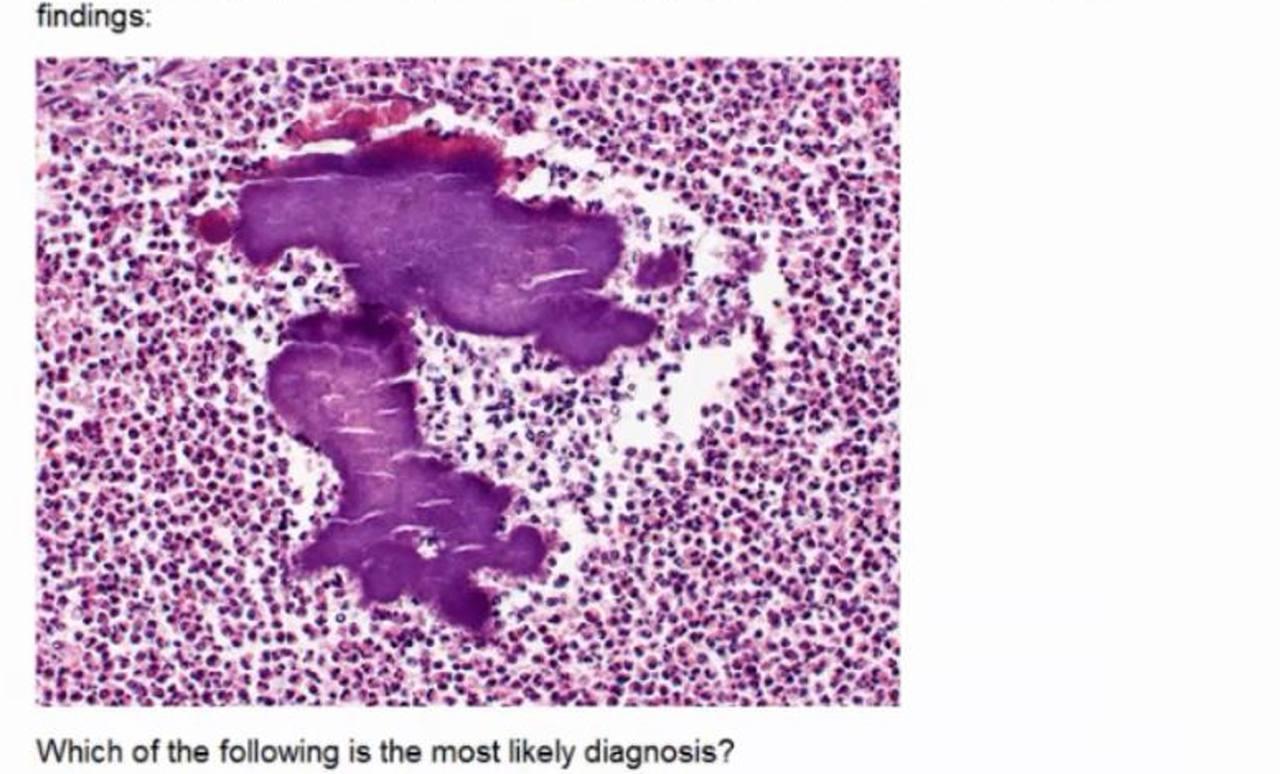 Solved findings: Which of the following is the most likely | Chegg.com