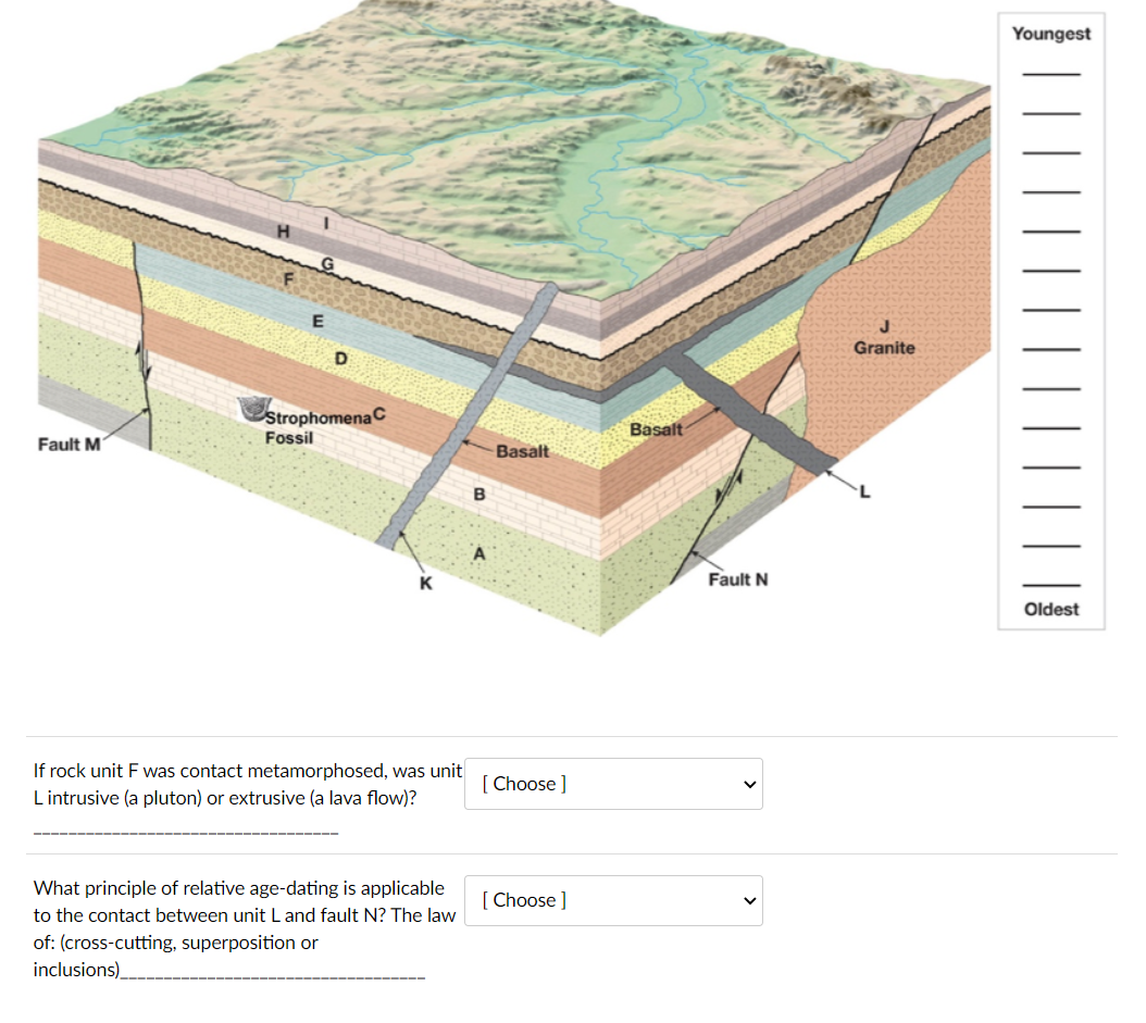 Solved Youngest E J Granite Strophomenac Fossil Basalt Fault | Chegg.com