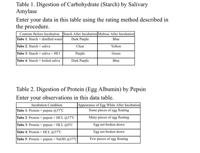 Solved Lab 6 Digestion Question Sheet Use the Table 1 and