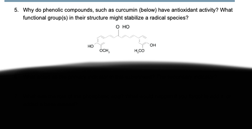 solved-5-why-do-phenolic-compounds-such-as-curcumin-chegg