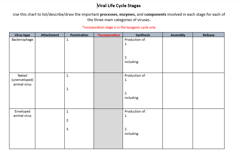 Solved Viral Life Cycle Stages Use this chart to | Chegg.com