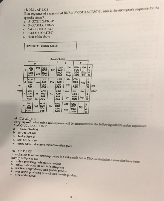Solved If the sequence of a segment of DNA is | Chegg.com