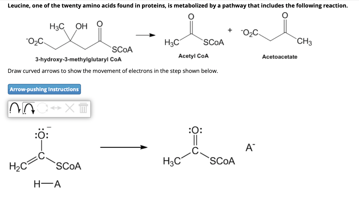 Solved 3-hydroxy-3-methylglutaryl CoA Acetyl CoA | Chegg.com