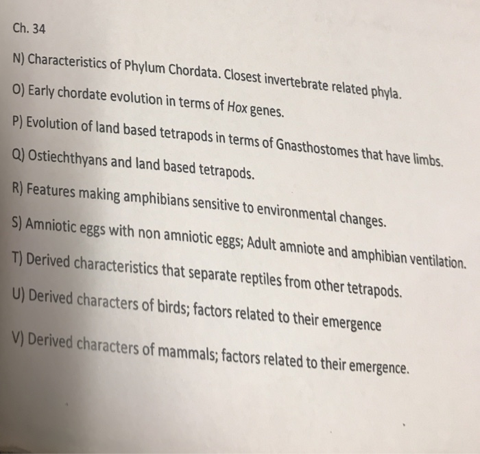 Phylum Chordata Characteristics