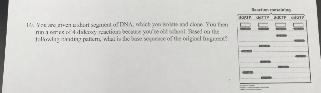 Solved . You are given a short segment of DNA, which you | Chegg.com