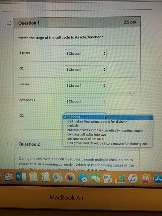 Solved DQuestion 1 2.5 pts Match the stage of the cell cycle | Chegg.com