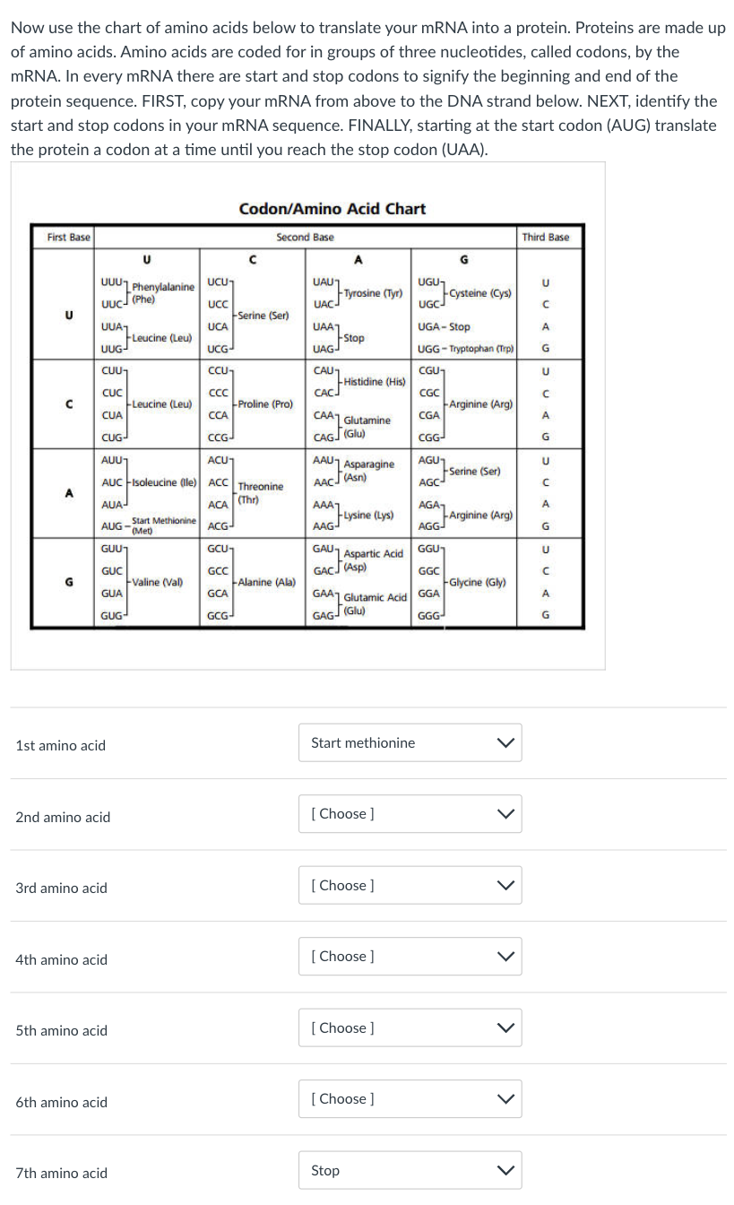 amino acids protein chart