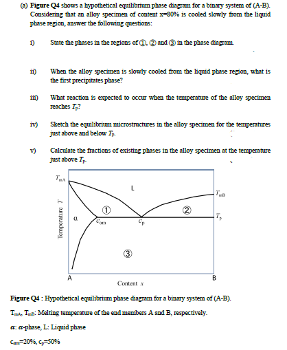 Solved (a) Figure Q4 shows a hypothetical equilibrium phase | Chegg.com