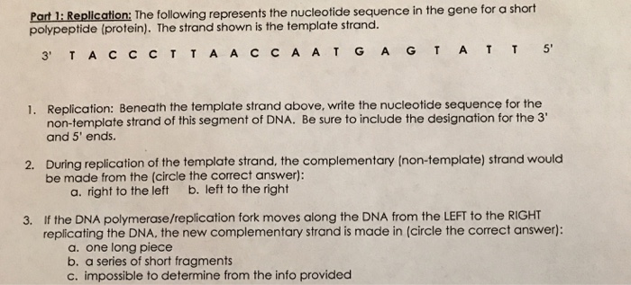 Solved Part 1: Replication: The following represents the | Chegg.com