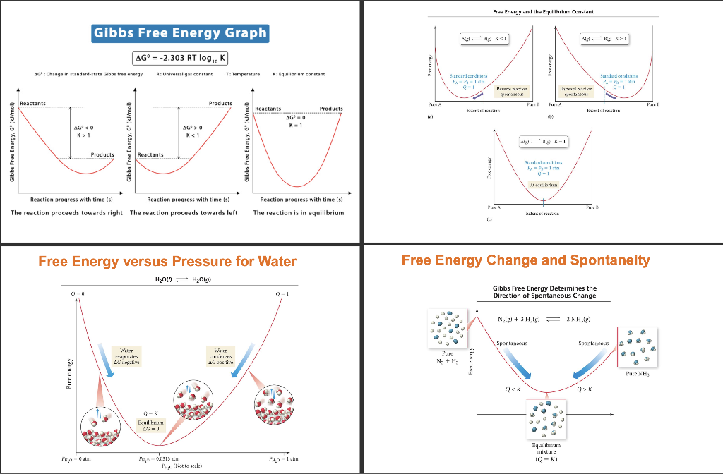 Lecture, Educate, Teach, Explain, Guide, Demonstrate | Chegg.com
