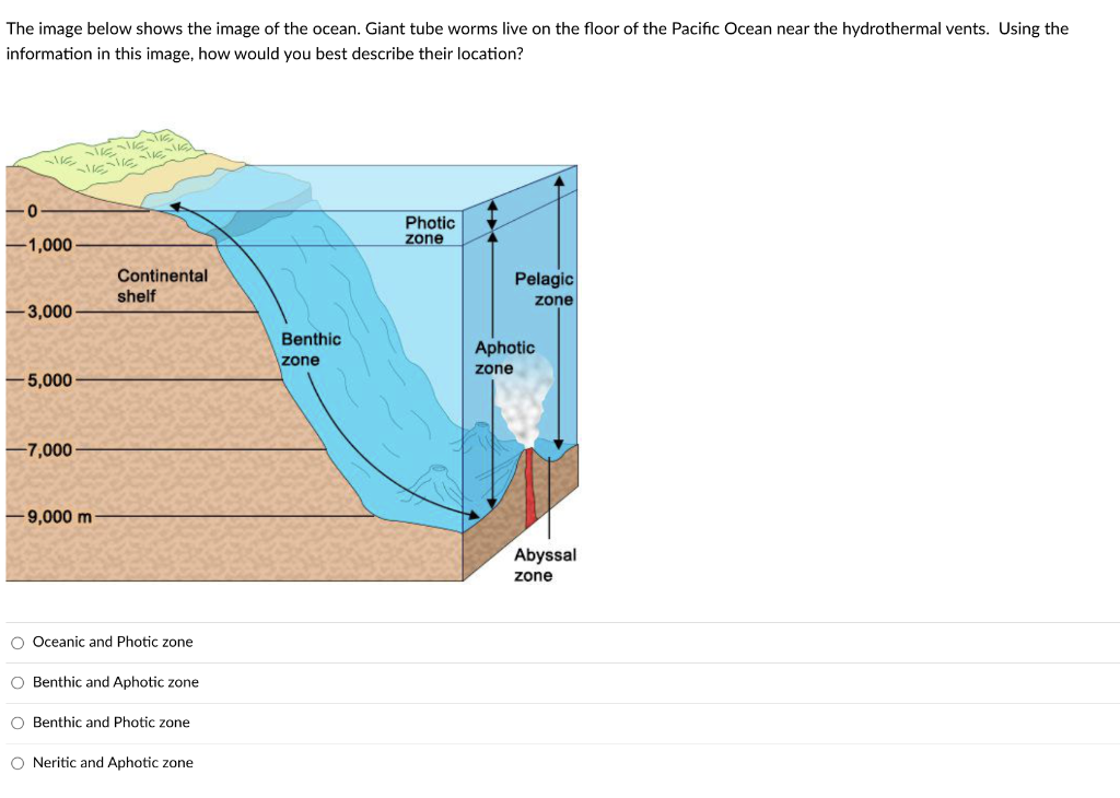 Solved The image below shows the image of the ocean. Giant | Chegg.com