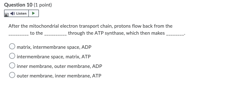 Solved Question 10 (1 point) Listen After the mitochondrial | Chegg.com
