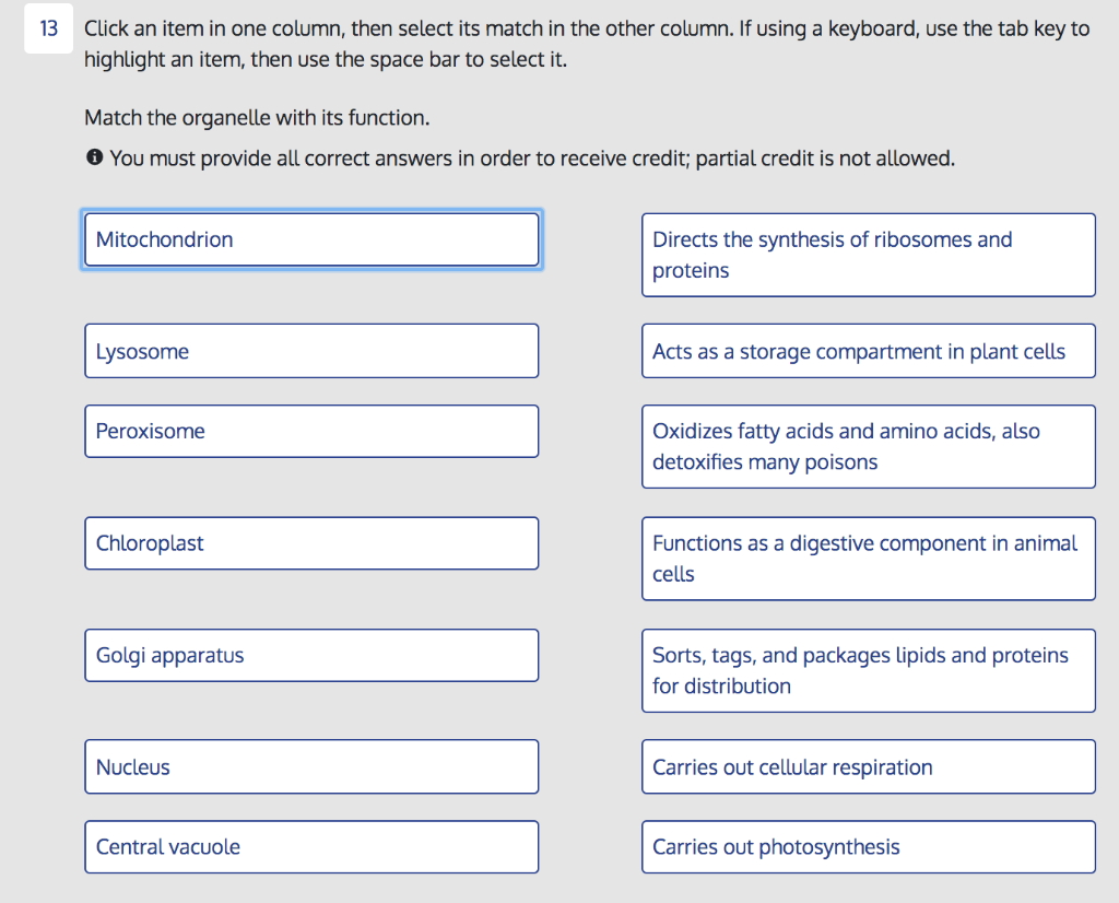 solved-13-click-an-item-in-one-column-then-select-its-match-chegg