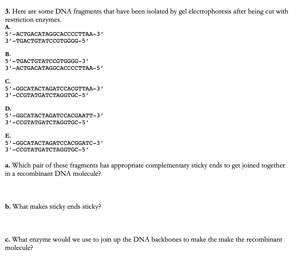 Solved 3. Here are some DNA fragments that have been | Chegg.com