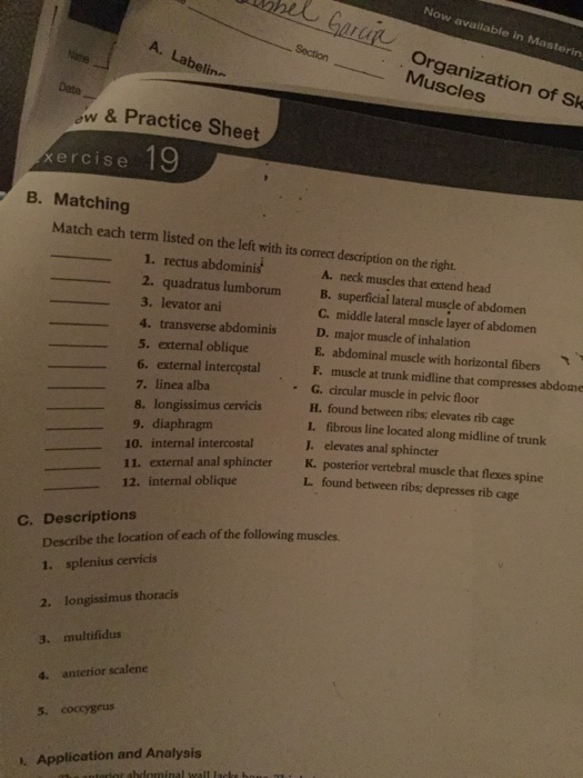 Solved Match each term listed on the left with its correct | Chegg.com