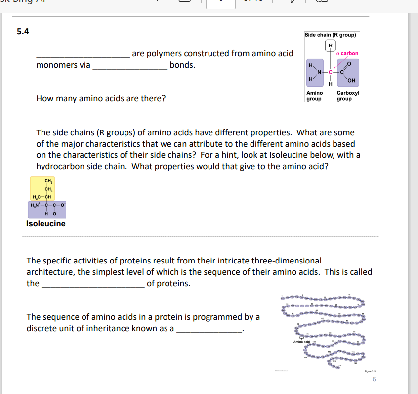 Solved are polymers constructed from amino acid monomers via