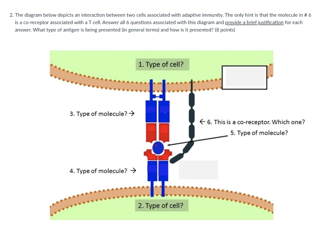 Solved 2. The diagram below depicts an interaction between | Chegg.com