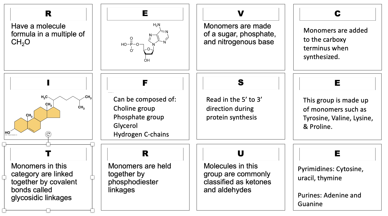 Solved Categorize the tiles containing key features of the