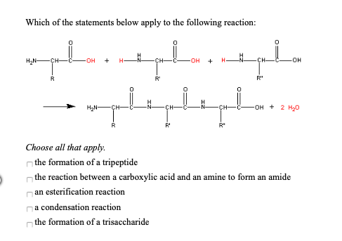 Solved Which Of The Statements Below Apply To The Following 