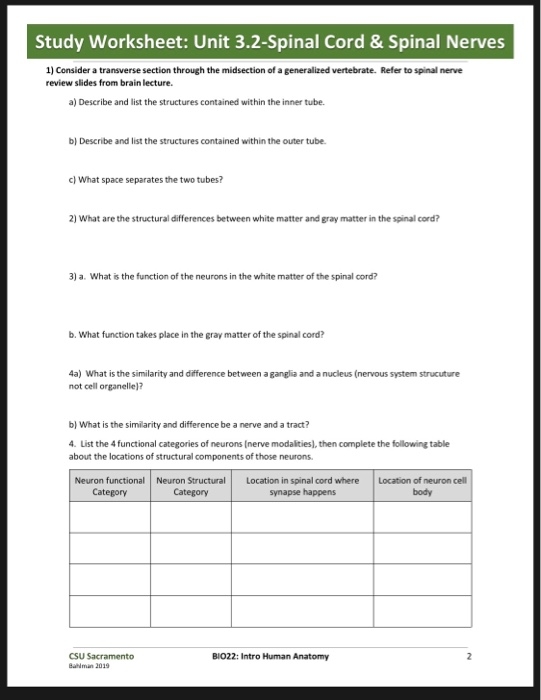 Solved Study Worksheet: Unit 3.2-Spinal Cord & Spinal Nerves | Chegg.com