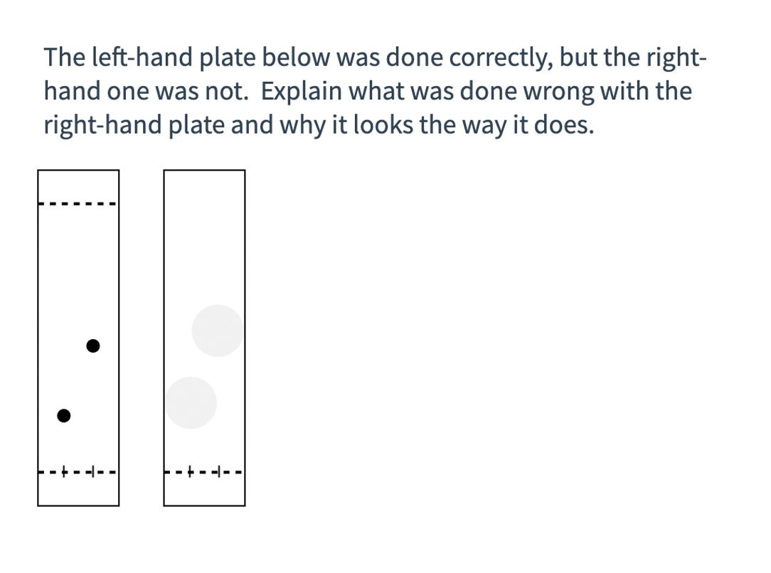Solved The left-hand plate below was done correctly, but the | Chegg.com