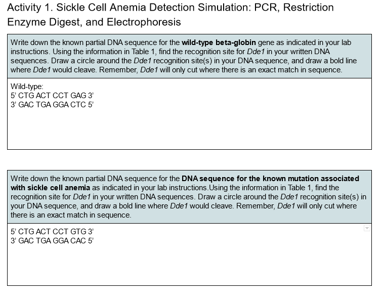 Solved Table 1 Restriction Endonuclease Recognition Site 0912