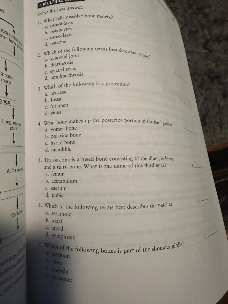 Solved 1. What cells dissolve bone matrix? a. osteoblasts b.