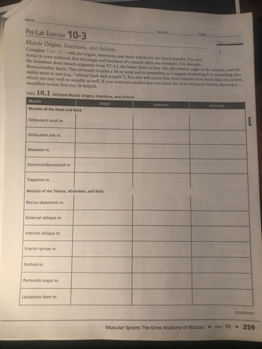 Solved Name Section Pre-Lab Exercise 10-3 Date Muscle | Chegg.com