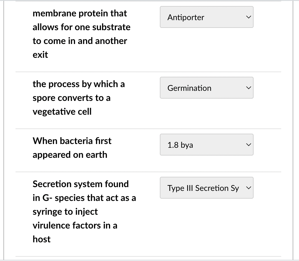 membrane protein that allows for one substrate to come in and another exit
the process by which a spore converts to a vegetat