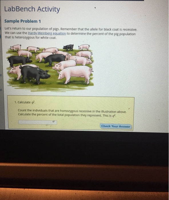 Solved LabBench Activity Sample Problem 1 Let's return to