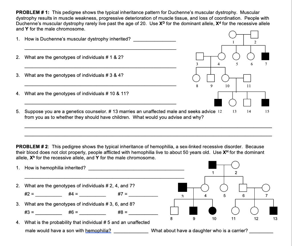 PROBLEM \# 1: This pedigree shows the typical | Chegg.com