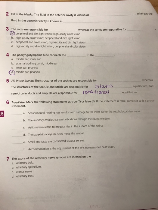 Solved 2 Fill in the blanks: The fluid in the anterior | Chegg.com