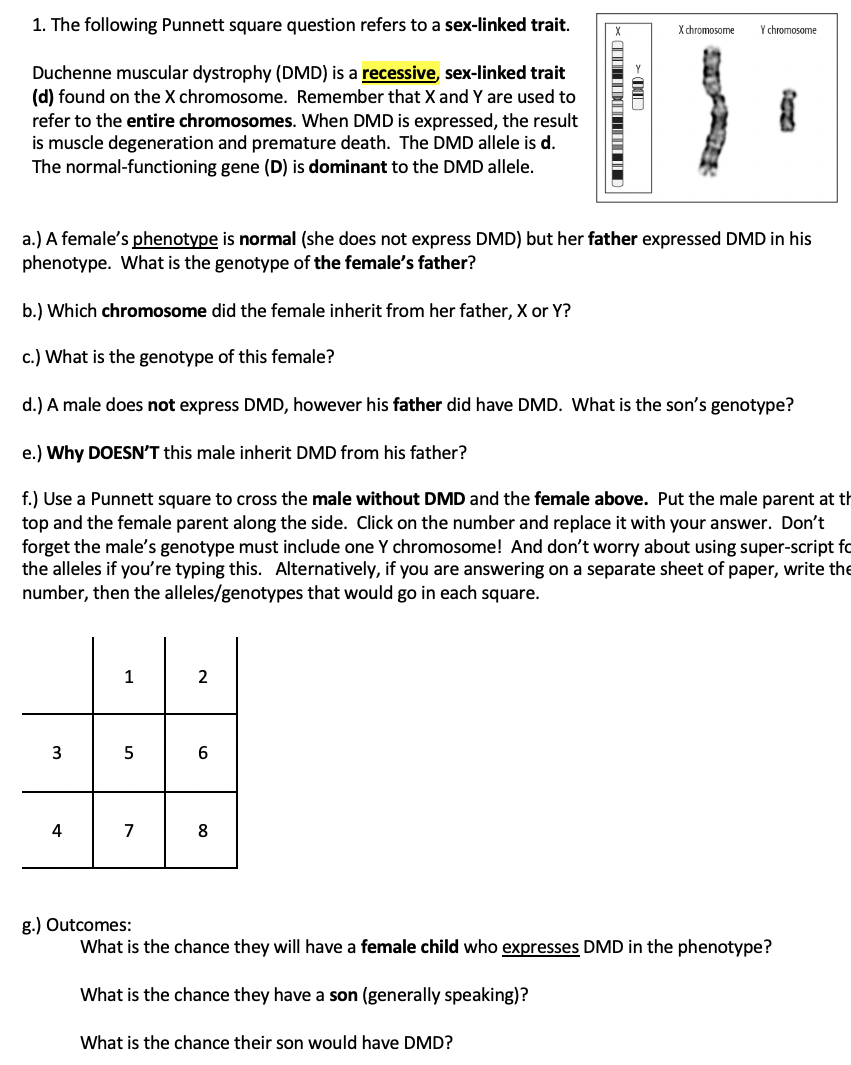 Solved 1. The following Punnett square question refers to a | Chegg.com