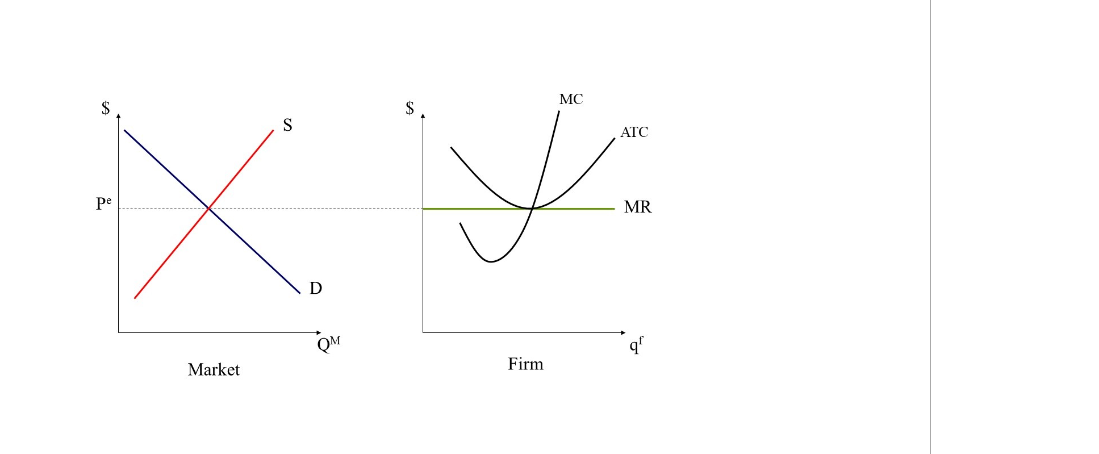 solved question 3 in competitive market theory, a... Solved Consider again the competitive market illustrated in | Chegg.com