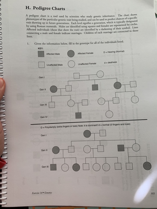 Polydactyly Pedigree Chart: A Visual Reference of Charts | Chart Master