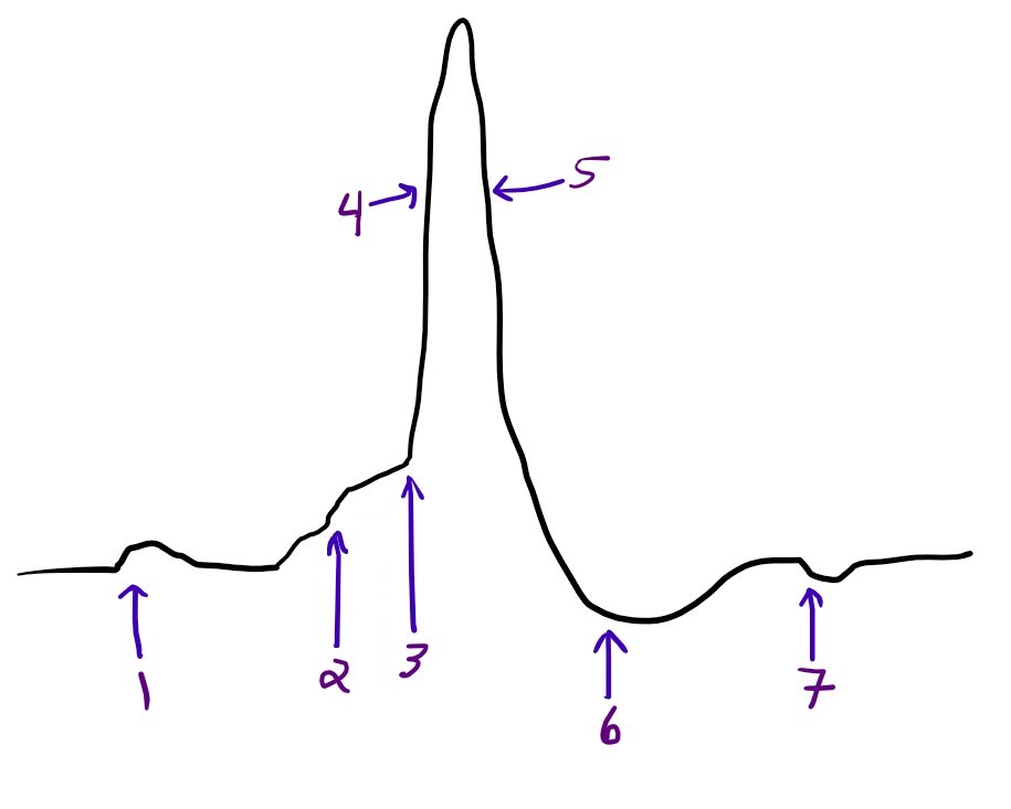 Solved Take a look at this drawing of an electrical | Chegg.com