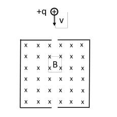 Solved Positively charged particles with charge + q and mass | Chegg.com