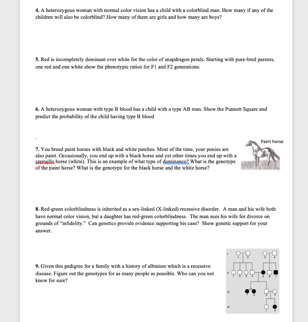 Solved 4 A Heterozygous Woman With Normal Color Vision Has Chegg