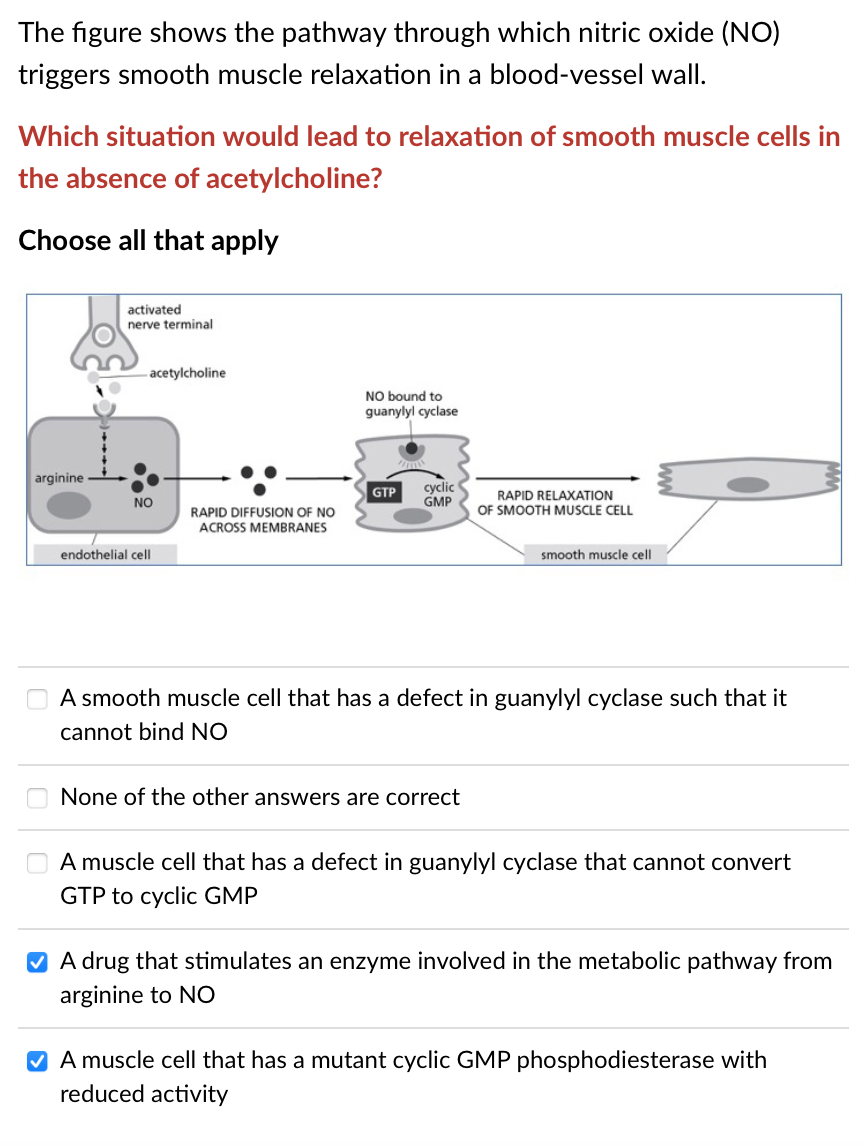 Solved The figure shows the pathway through which nitric | Chegg.com