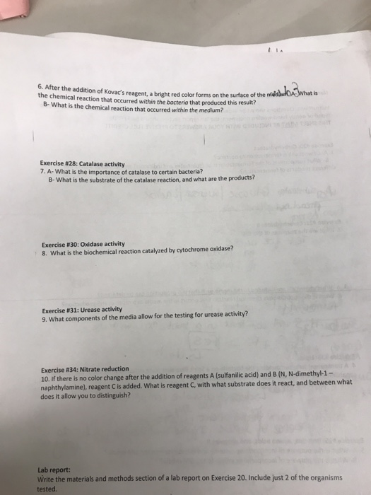 Solved 6. After the addition of Kovac's reagent, a bright | Chegg.com